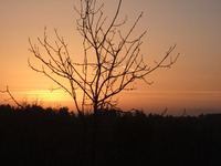 PAYSAGE